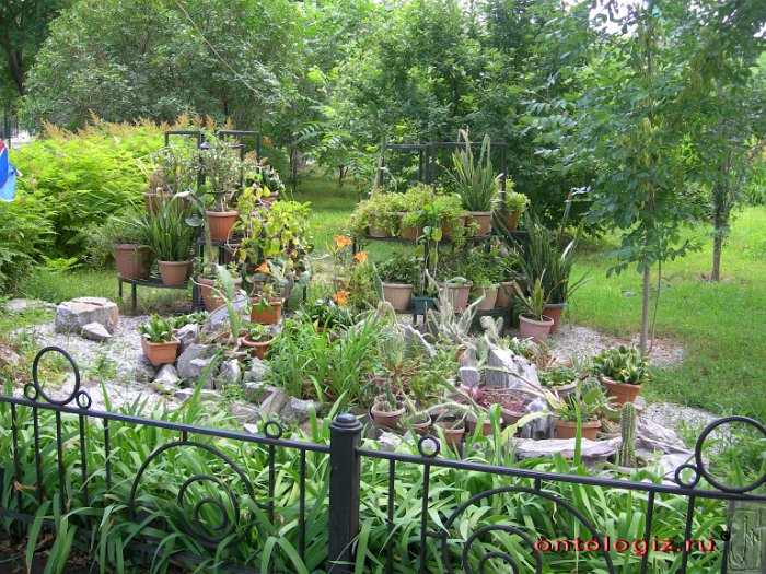 park (2)
